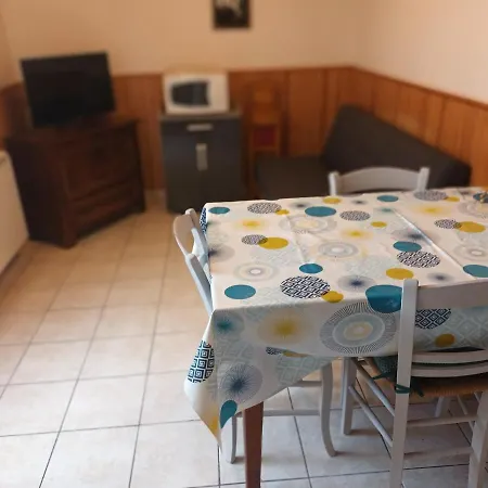 Villa Type 2 à Vic-sur-Cère Extérieur photo